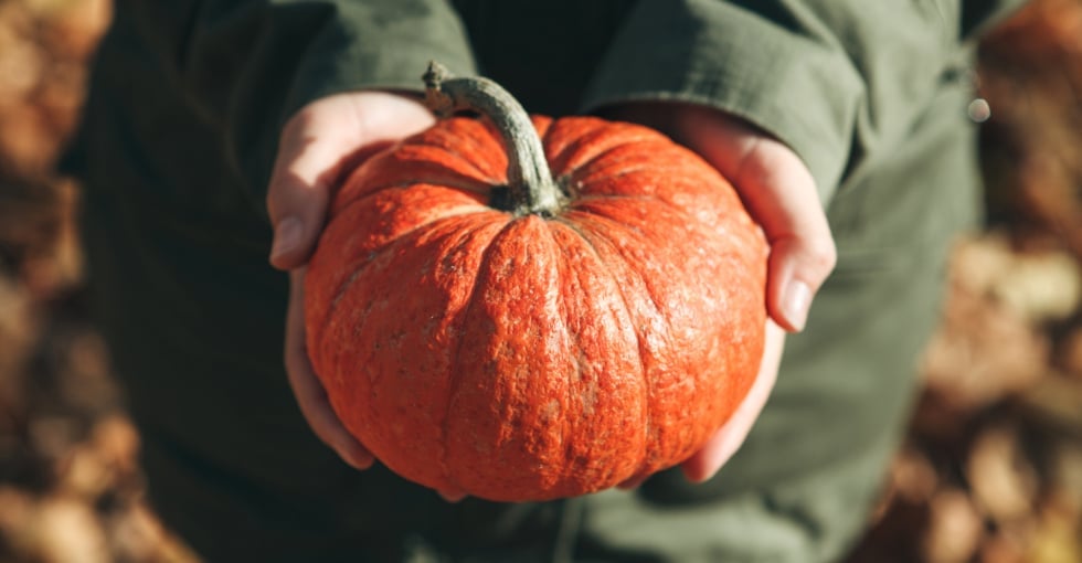 Je sélectionne mes courges
